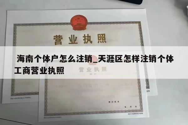  海南个体户怎么注销_天涯区怎样注销个体工商营业执照