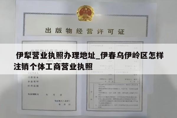  伊犁营业执照办理地址_伊春乌伊岭区怎样注销个体工商营业执照