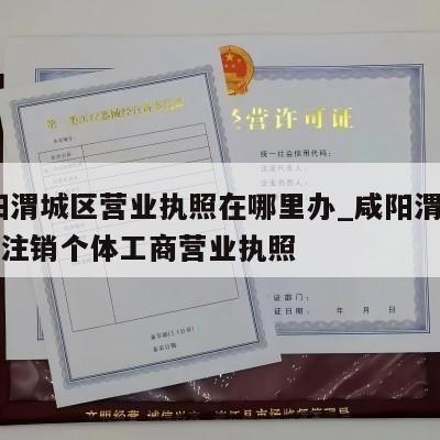  咸阳渭城区营业执照在哪里办_咸阳渭城区怎样注销个体工商营业执照
