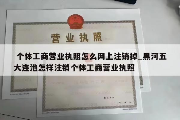  个体工商营业执照怎么网上注销掉_黑河五大连池怎样注销个体工商营业执照