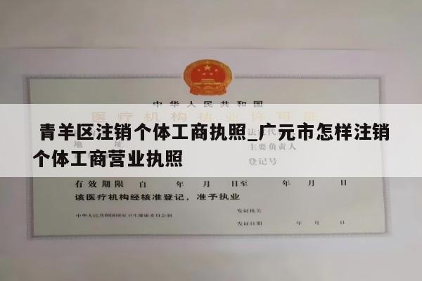  青羊区注销个体工商执照_广元市怎样注销个体工商营业执照