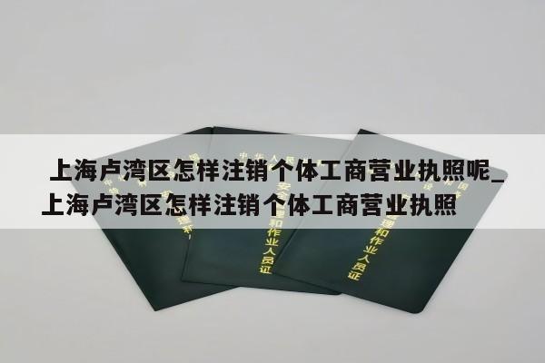  上海卢湾区怎样注销个体工商营业执照呢_上海卢湾区怎样注销个体工商营业执照