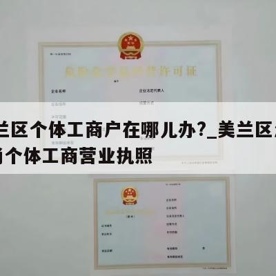  美兰区个体工商户在哪儿办?_美兰区怎样注销个体工商营业执照