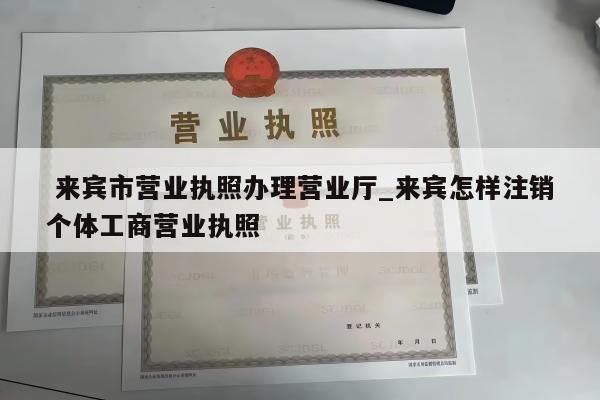  来宾市营业执照办理营业厅_来宾怎样注销个体工商营业执照