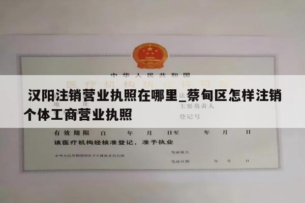  汉阳注销营业执照在哪里_蔡甸区怎样注销个体工商营业执照
