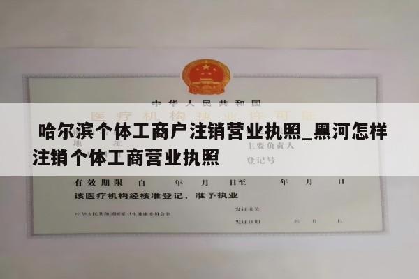  哈尔滨个体工商户注销营业执照_黑河怎样注销个体工商营业执照