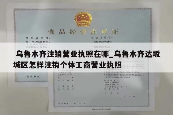  乌鲁木齐注销营业执照在哪_乌鲁木齐达坂城区怎样注销个体工商营业执照