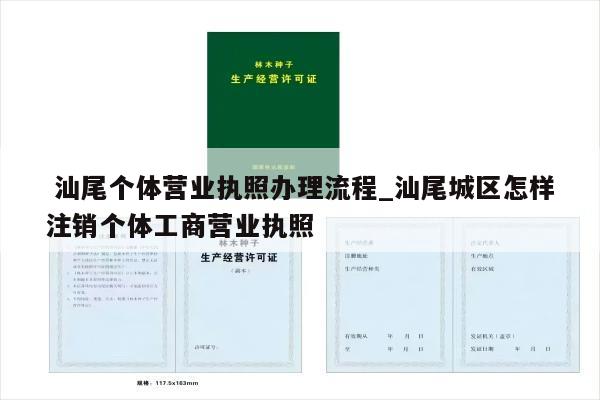  汕尾个体营业执照办理流程_汕尾城区怎样注销个体工商营业执照