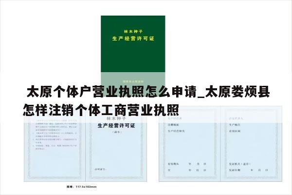  太原个体户营业执照怎么申请_太原娄烦县怎样注销个体工商营业执照