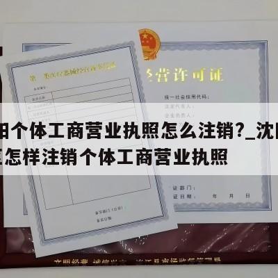  沈阳个体工商营业执照怎么注销?_沈阳铁西区怎样注销个体工商营业执照