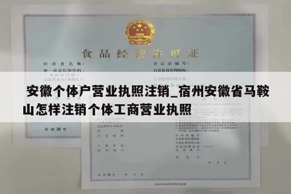  安徽个体户营业执照注销_宿州安徽省马鞍山怎样注销个体工商营业执照