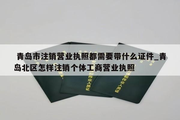  青岛市注销营业执照都需要带什么证件_青岛北区怎样注销个体工商营业执照