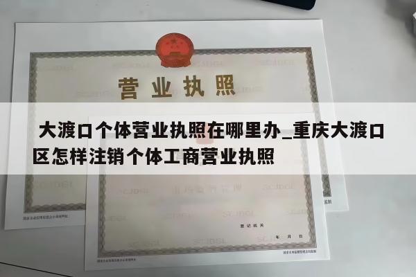  大渡口个体营业执照在哪里办_重庆大渡口区怎样注销个体工商营业执照