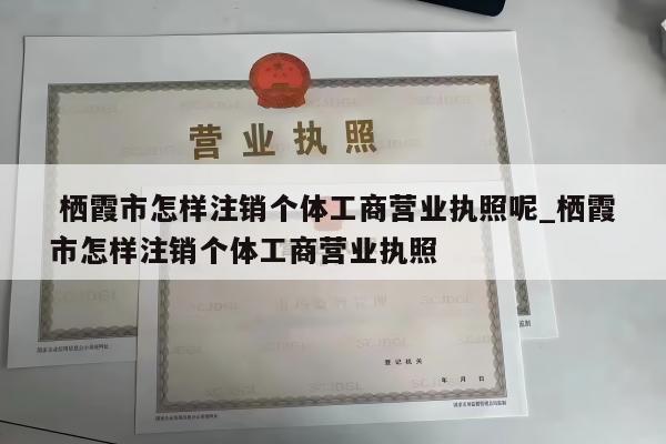  栖霞市怎样注销个体工商营业执照呢_栖霞市怎样注销个体工商营业执照