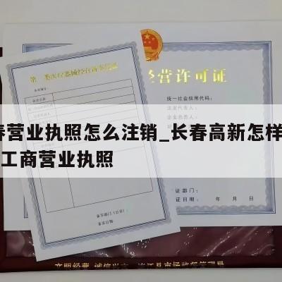  长春营业执照怎么注销_长春高新怎样注销个体工商营业执照