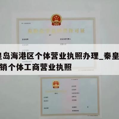  秦皇岛海港区个体营业执照办理_秦皇岛怎样注销个体工商营业执照