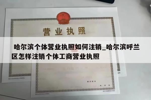  哈尔滨个体营业执照如何注销_哈尔滨呼兰区怎样注销个体工商营业执照