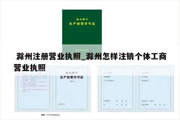  滁州注册营业执照_滁州怎样注销个体工商营业执照