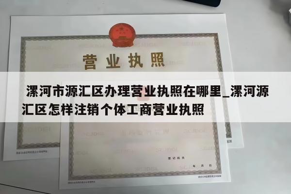  漯河市源汇区办理营业执照在哪里_漯河源汇区怎样注销个体工商营业执照