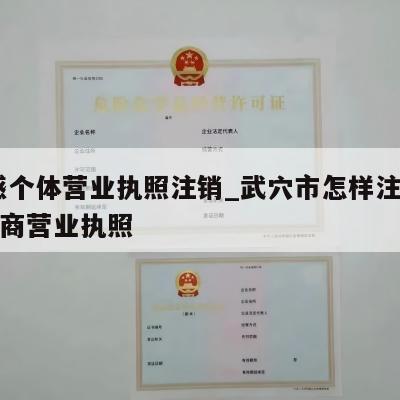  孝感个体营业执照注销_武穴市怎样注销个体工商营业执照