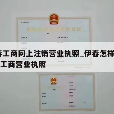  宜春工商网上注销营业执照_伊春怎样注销个体工商营业执照