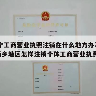  南宁工商营业执照注销在什么地方办?_南宁西乡塘区怎样注销个体工商营业执照