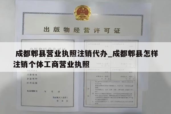  成都郫县营业执照注销代办_成都郫县怎样注销个体工商营业执照