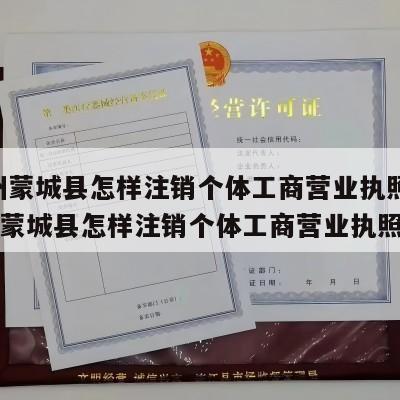  毫州蒙城县怎样注销个体工商营业执照呢_毫州蒙城县怎样注销个体工商营业执照