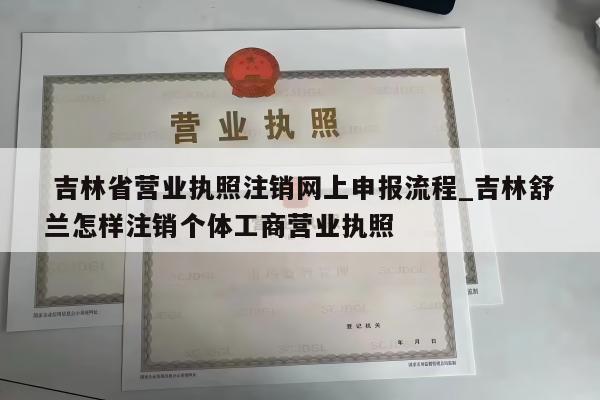  吉林省营业执照注销网上申报流程_吉林舒兰怎样注销个体工商营业执照