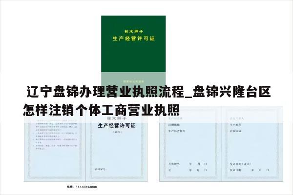  辽宁盘锦办理营业执照流程_盘锦兴隆台区怎样注销个体工商营业执照