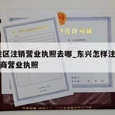  东胜区注销营业执照去哪_东兴怎样注销个体工商营业执照