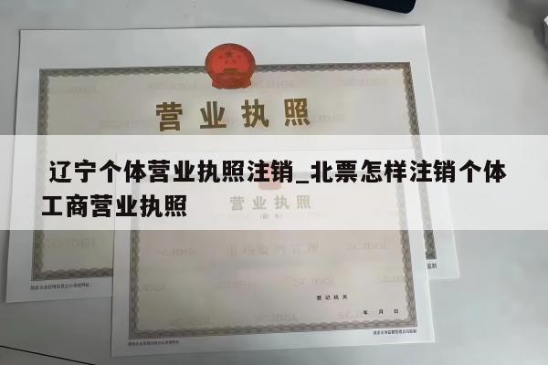  辽宁个体营业执照注销_北票怎样注销个体工商营业执照