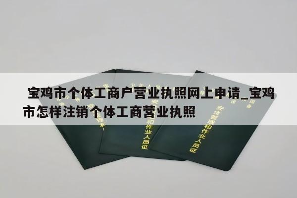  宝鸡市个体工商户营业执照网上申请_宝鸡市怎样注销个体工商营业执照