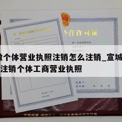  安徽个体营业执照注销怎么注销_宣城泾县怎样注销个体工商营业执照