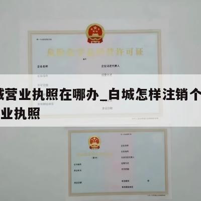  白城营业执照在哪办_白城怎样注销个体工商营业执照