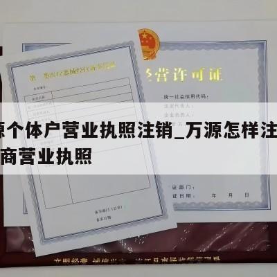  河源个体户营业执照注销_万源怎样注销个体工商营业执照