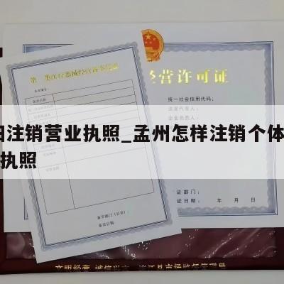  南阳注销营业执照_孟州怎样注销个体工商营业执照
