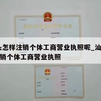  汕头怎样注销个体工商营业执照呢_汕头怎样注销个体工商营业执照