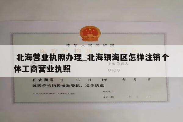  北海营业执照办理_北海银海区怎样注销个体工商营业执照