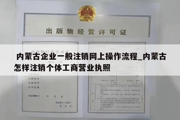  内蒙古企业一般注销网上操作流程_内蒙古怎样注销个体工商营业执照