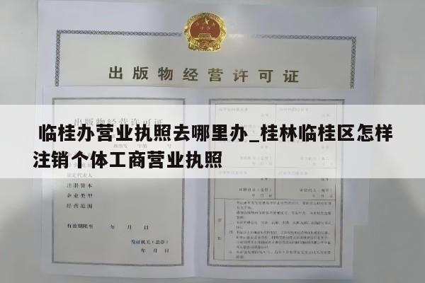  临桂办营业执照去哪里办_桂林临桂区怎样注销个体工商营业执照