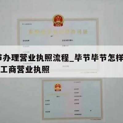  毕节办理营业执照流程_毕节毕节怎样注销个体工商营业执照