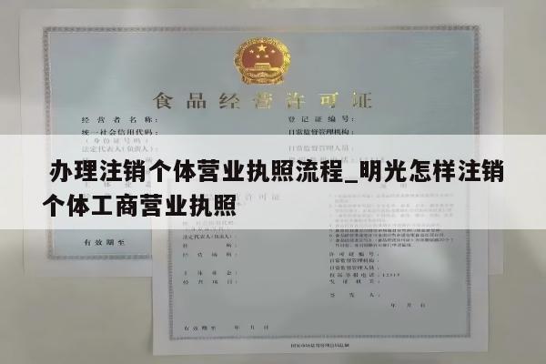  办理注销个体营业执照流程_明光怎样注销个体工商营业执照