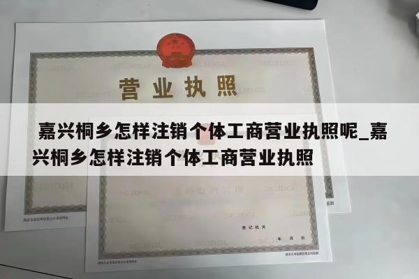  嘉兴桐乡怎样注销个体工商营业执照呢_嘉兴桐乡怎样注销个体工商营业执照