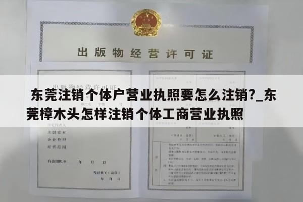 东莞注销个体户营业执照要怎么注销?_东莞樟木头怎样注销个体工商营业执照