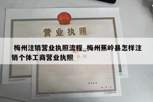  梅州注销营业执照流程_梅州蕉岭县怎样注销个体工商营业执照