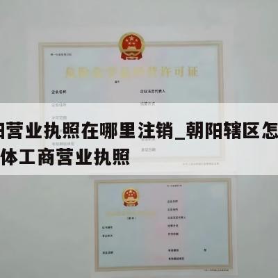  朝阳营业执照在哪里注销_朝阳辖区怎样注销个体工商营业执照