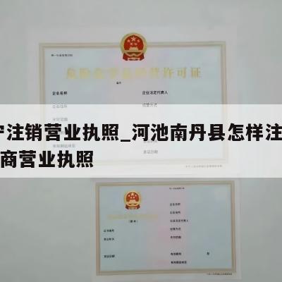  南宁注销营业执照_河池南丹县怎样注销个体工商营业执照