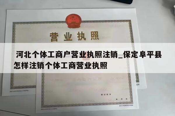  河北个体工商户营业执照注销_保定阜平县怎样注销个体工商营业执照