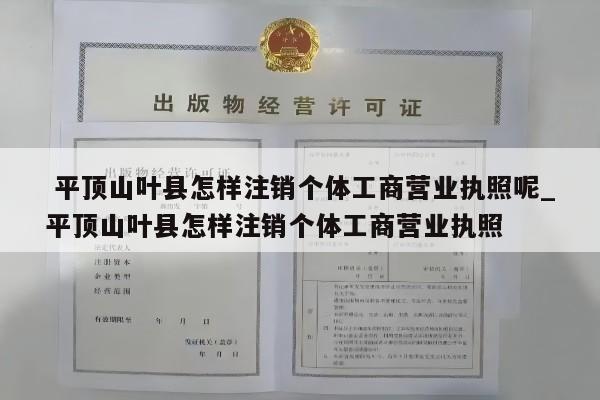  平顶山叶县怎样注销个体工商营业执照呢_平顶山叶县怎样注销个体工商营业执照